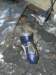 stillegetuige_small.jpg